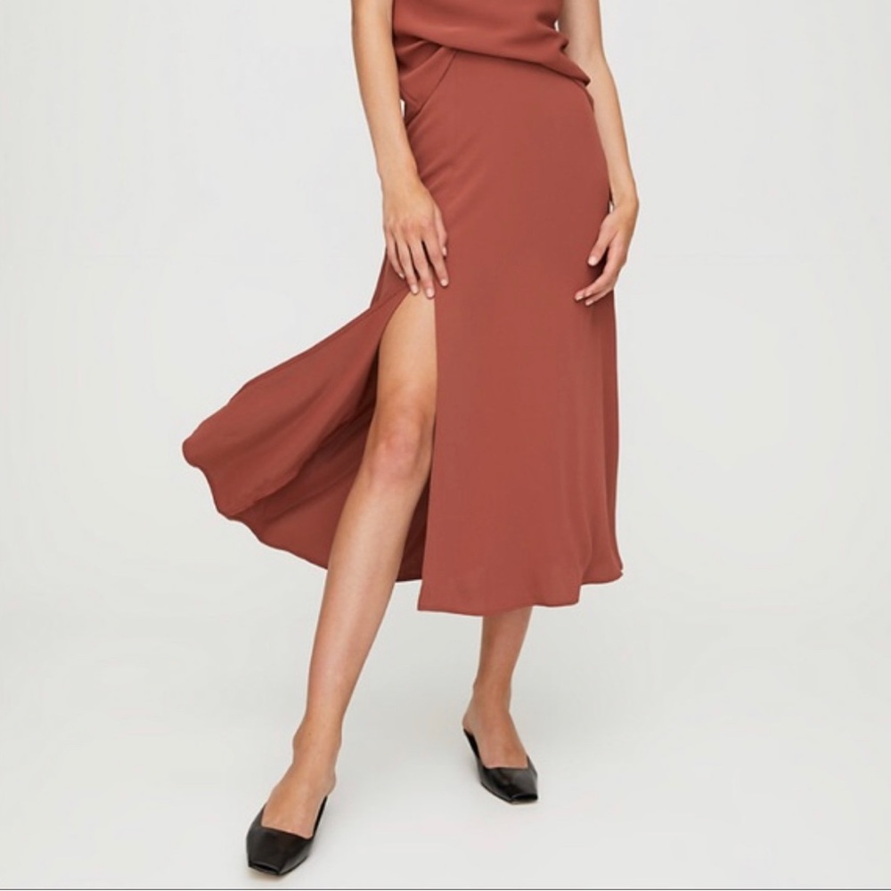 BNWT Babaton Wilson Slip Skirt in Cider Gold Rust size 6